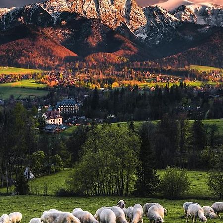Villa Jumper Widok Na Cale Tatry Lazienka Nie Jest W Pokoju Закопане Экстерьер фото